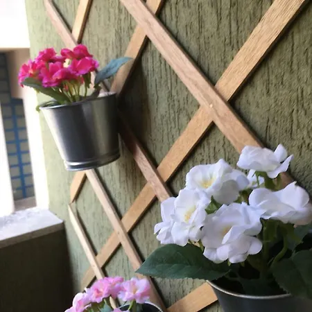 Hébergement de vacances Matt5, Il Tuo Angolino Triestino